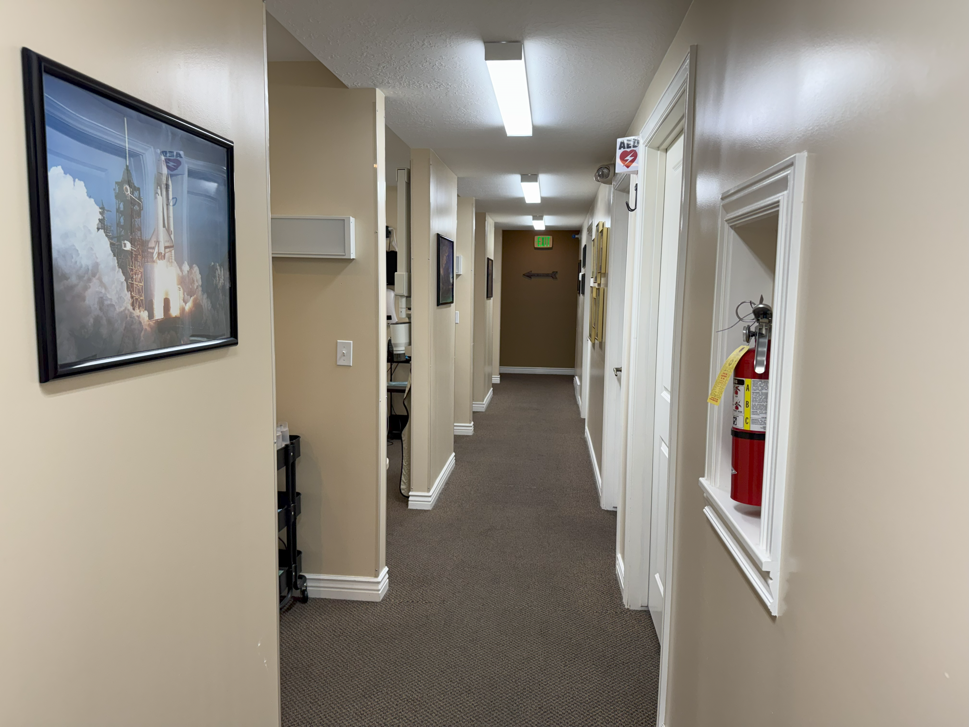 A hallway with many doors and a painting